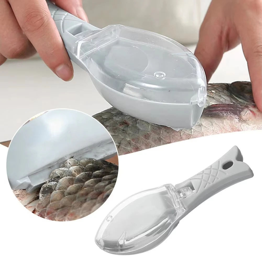 Râpes à écailles de poisson, g - Fishing Equipment Kitchener avis et prix