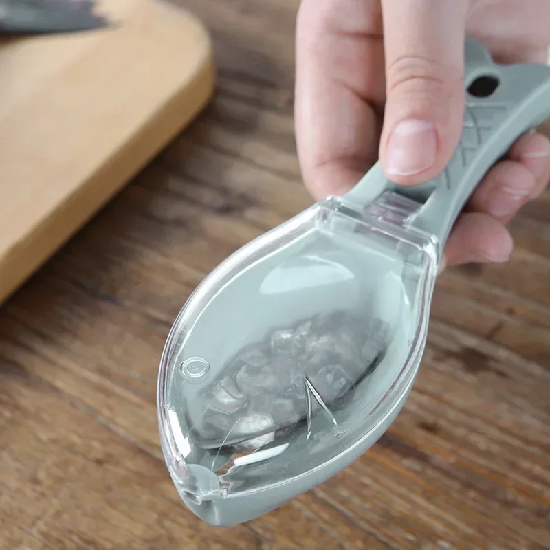 Râpes à écailles de poisson, g - Fishing Equipment Kitchener avis et prix